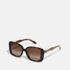 Clearance Cheap Coach Sunglasses Brown