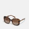 Hot Hot Sale Coach Sunglasses Brown