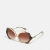 Best Buy Coach Sunglasses Transparent Brown