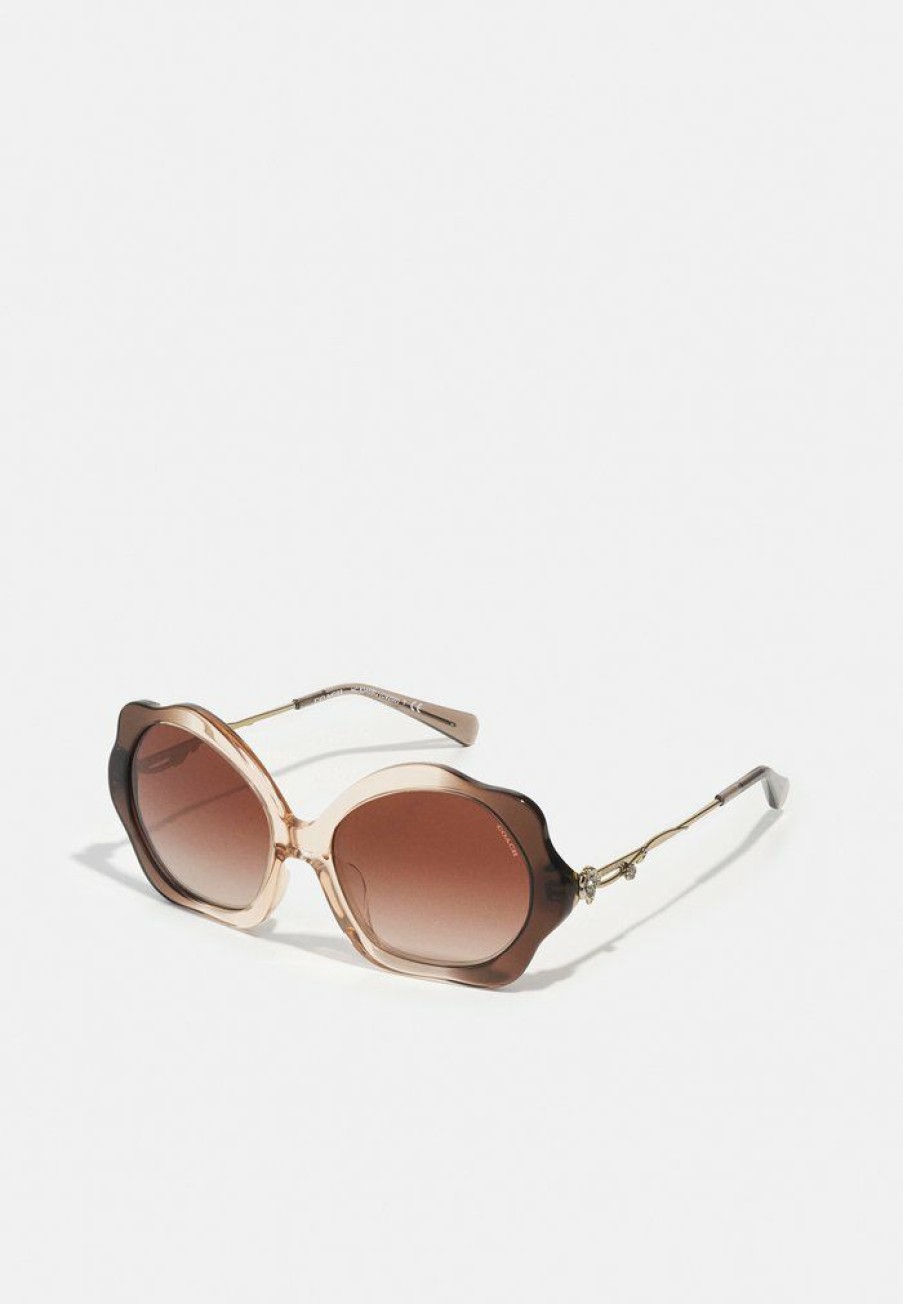 Best Buy Coach Sunglasses Transparent Brown