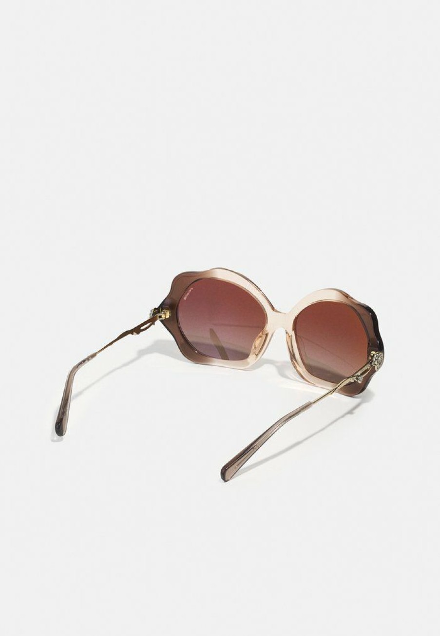 Best Buy Coach Sunglasses Transparent Brown