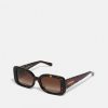 New Cheapest Coach Sunglasses Brown