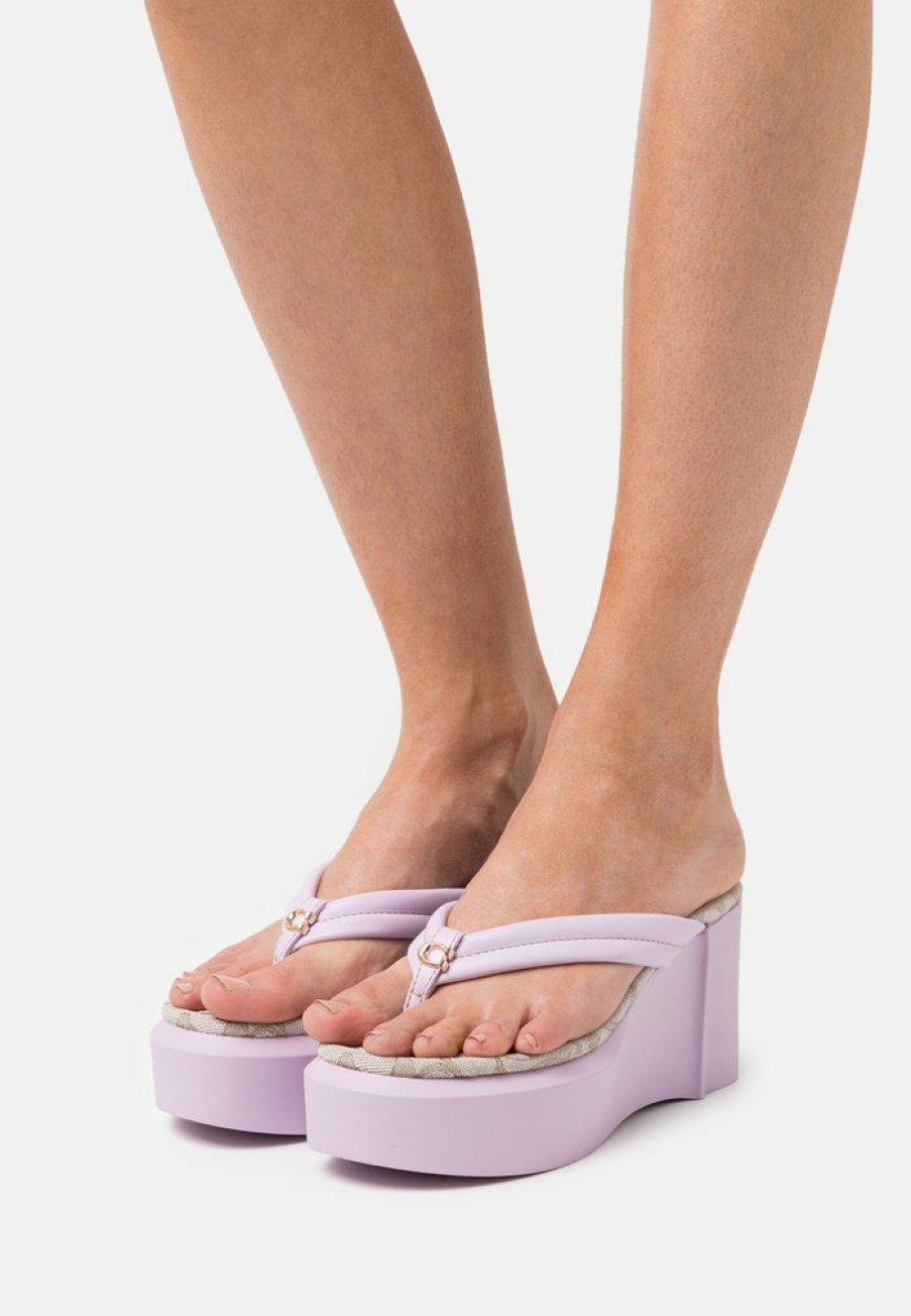 Best Hot Sale Coach Franki T-Bar Sandals Violet