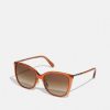 Clearance Best Sale Coach Sunglasses Transparent Amber