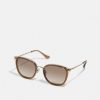 New Budget Coach Sunglasses Light Gold-Coloured/Brown