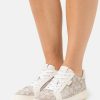 Hot Best Sale Coach Jacquard Trainers Stone/Chalk