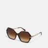 Hot Best Reviews Of Coach Sunglasses Dark Tortoise