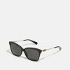 Wholesale Best Pirce Coach Sunglasses Black