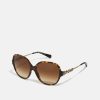 New Best Pirce Coach Sunglasses Dark Tortoise